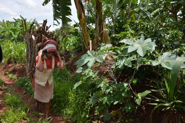 Developing a more coherent theory of scaling