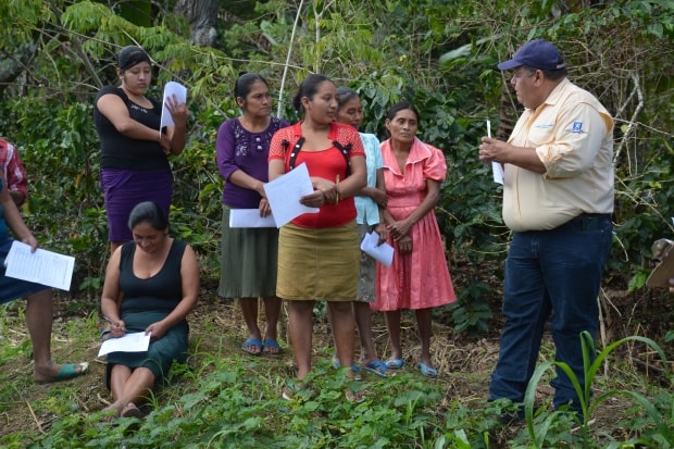 Participation: key to the creation of new farming systems