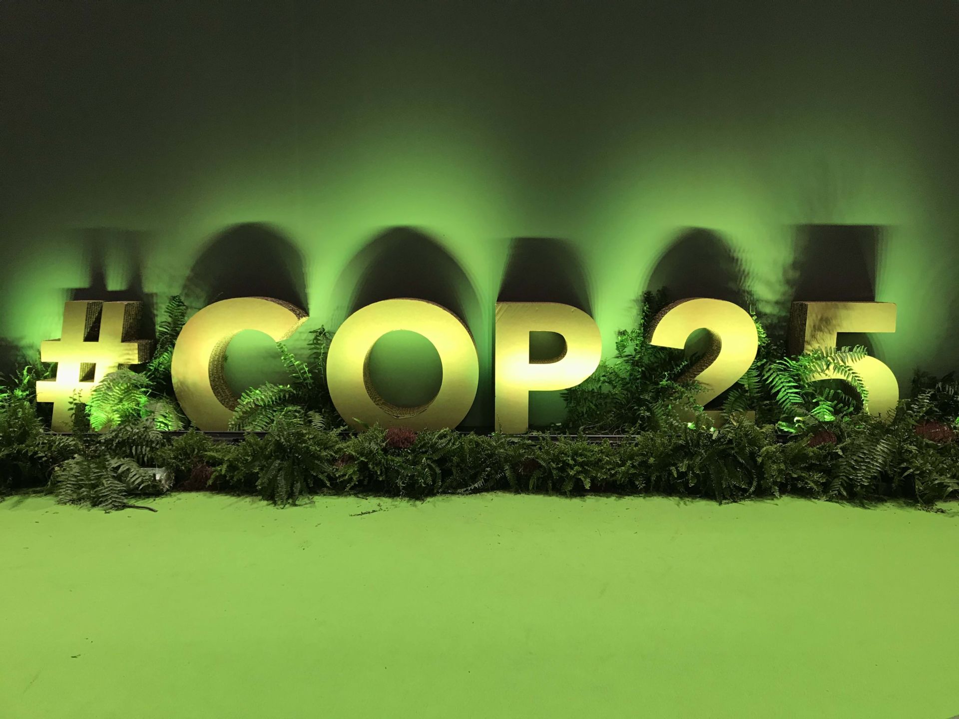 After COP25: Frustration Over Decisions, More Hope on Local Climate Action
