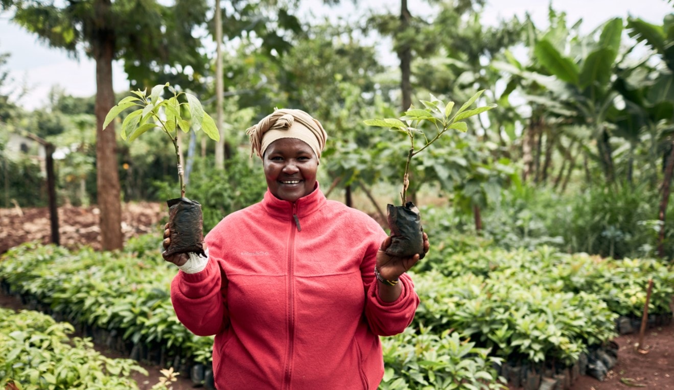 Environment: Make this Christmas count