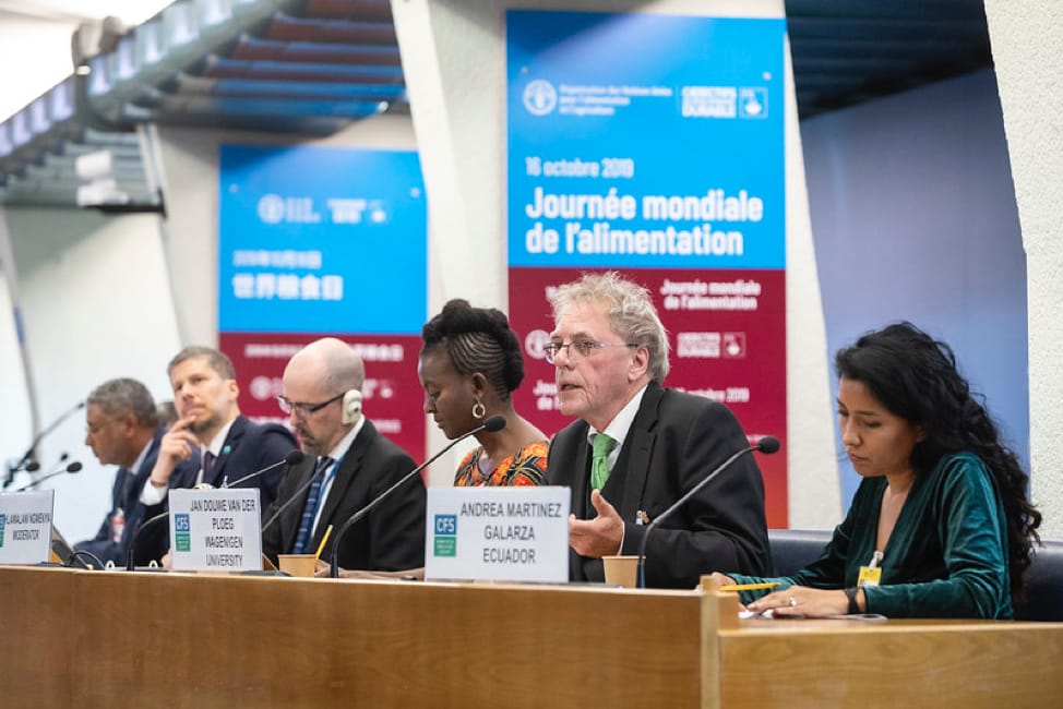 Shaping the UN Family Farming Strategy 10 Years Ahead