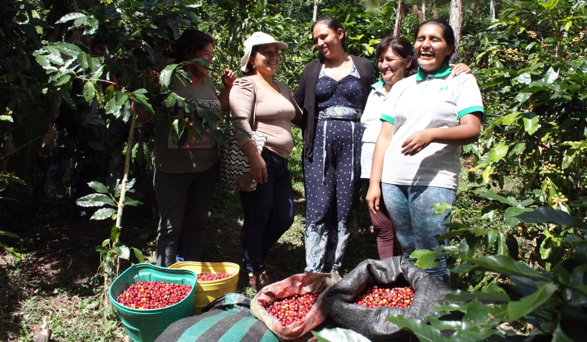 In Peru’s Coffeelands, These Women Mean Business