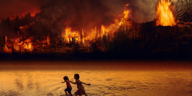 Companies Must “Zoom Out” For a Sustainable Planet