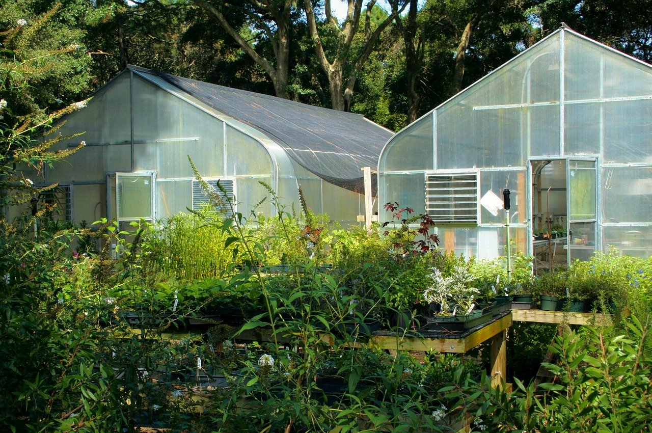 Indoor Farming
