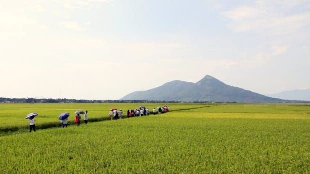 How to achieve large-scale impacts from agricultural innovations