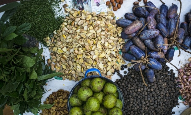 Measuring the climate impact of our diet choices