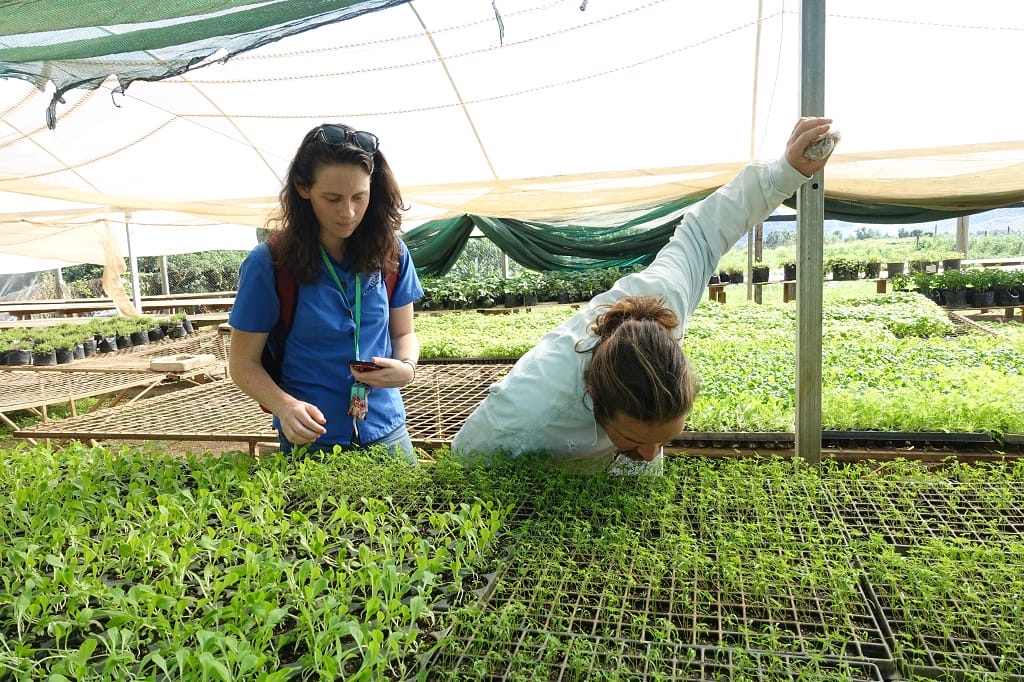 Aggie Global, Connecting Two Worlds for a Sustainable Food Supply Chain