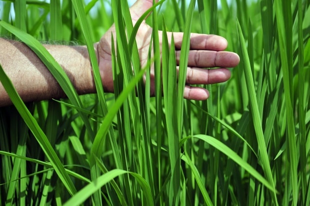 How to impact climate change adaptation and mitigation around the world