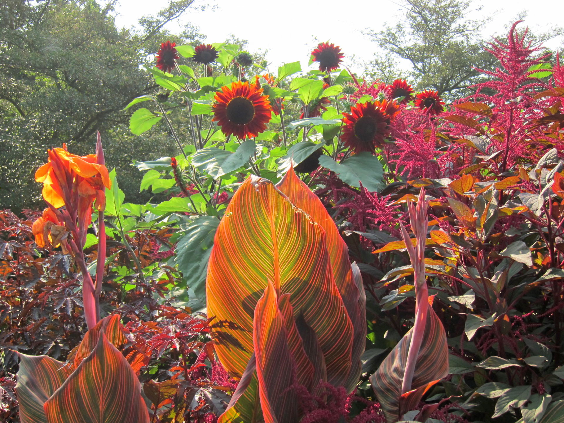 Climate Emergency: Eight Stories That Could Make or Break the 2020 Decade