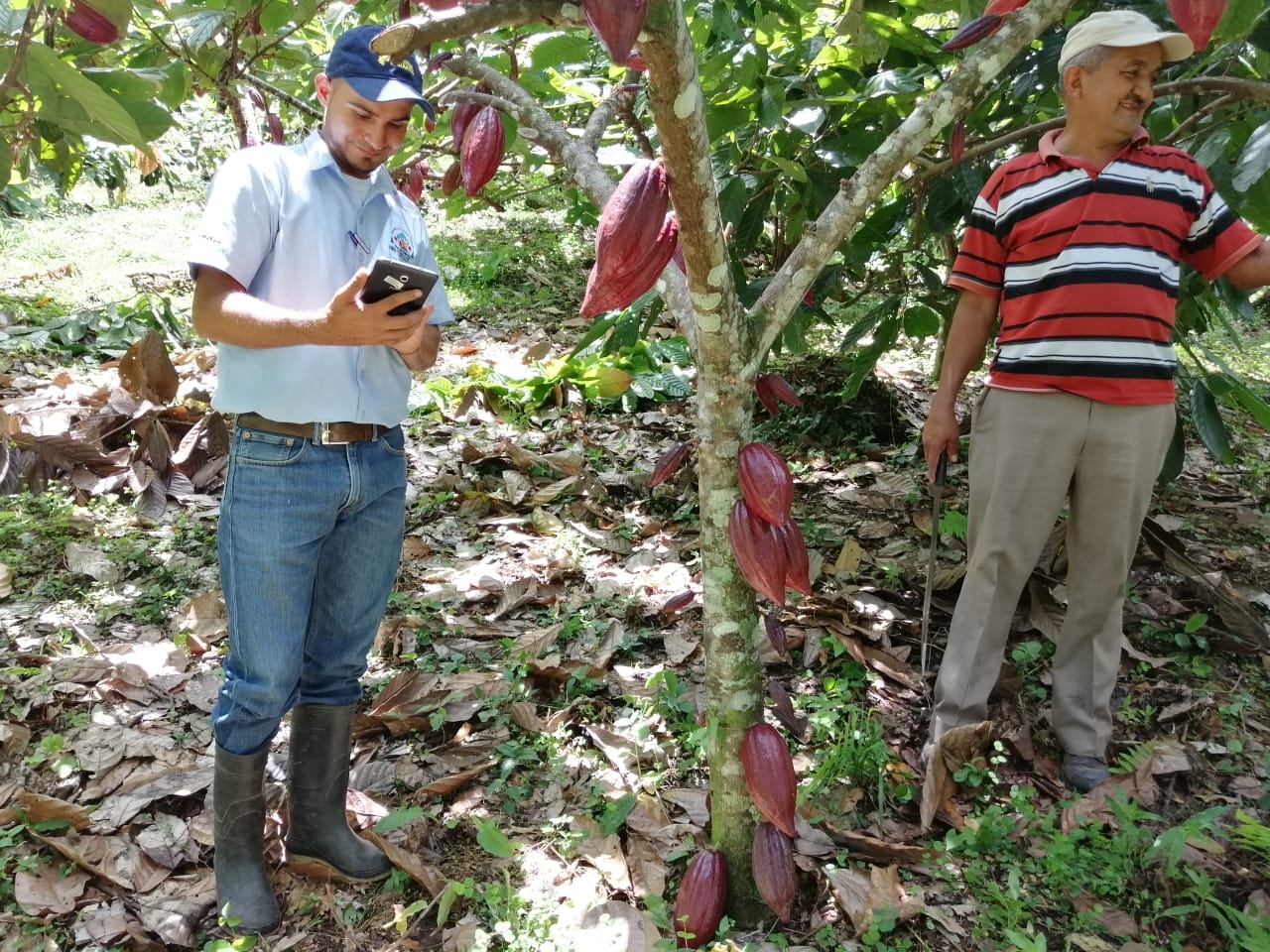 How Digital Technology is Democratizing Data for Rural Businesses