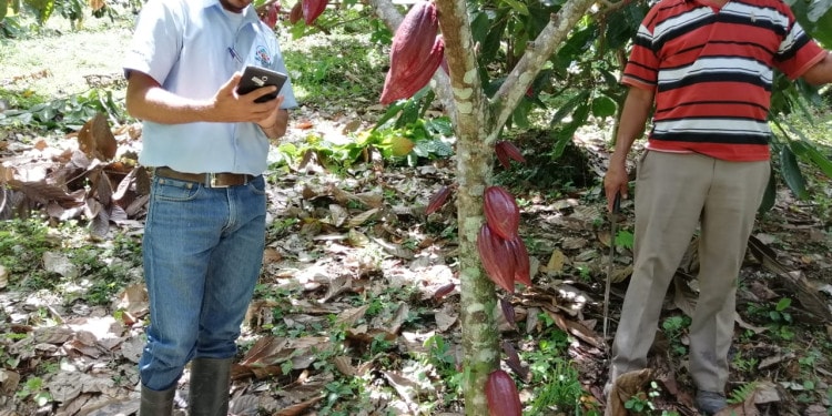 How Digital Technology is Democratizing Data for Rural Businesses