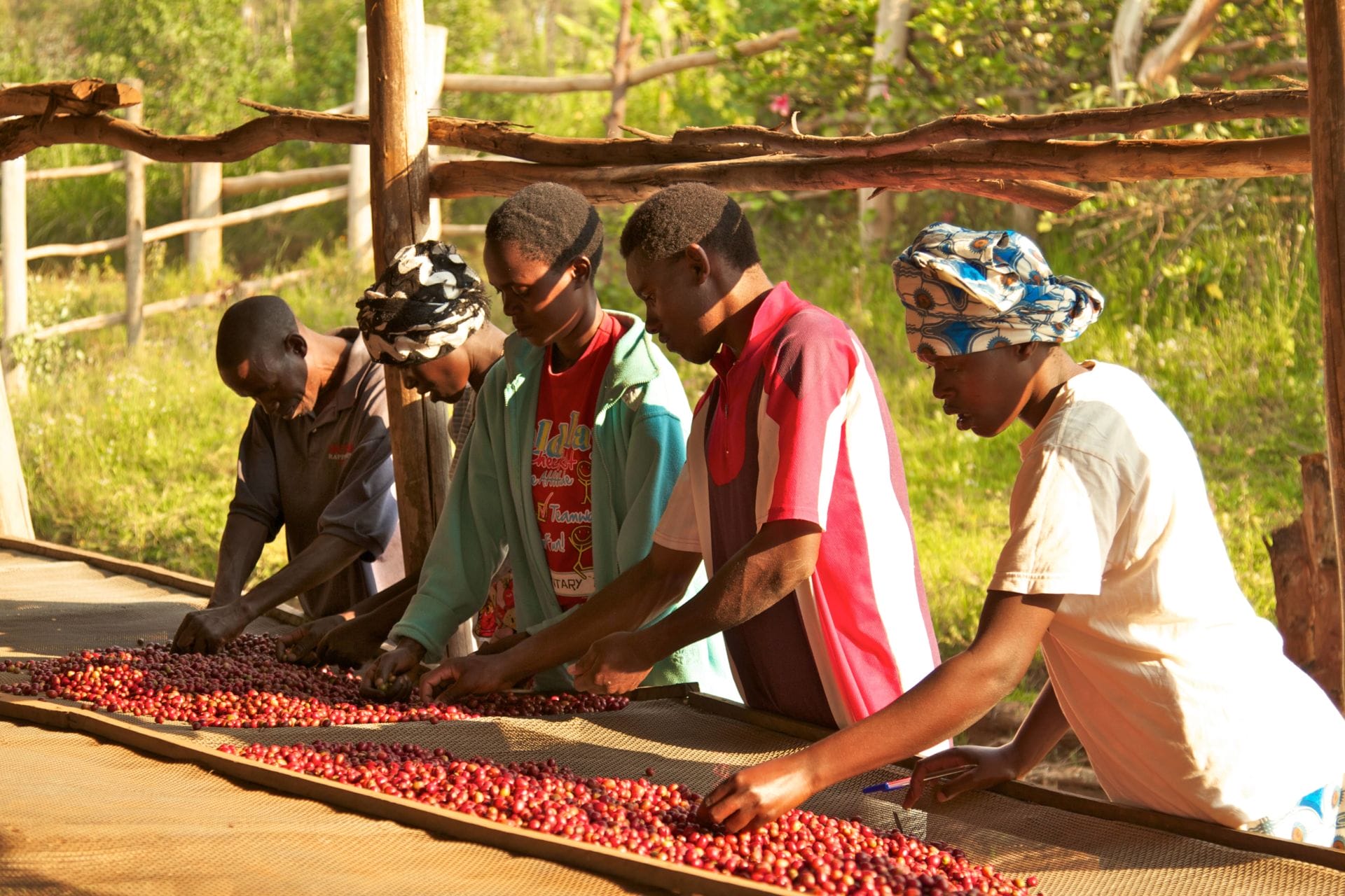 Predicting Social and Environmental Impact Through Due Diligence