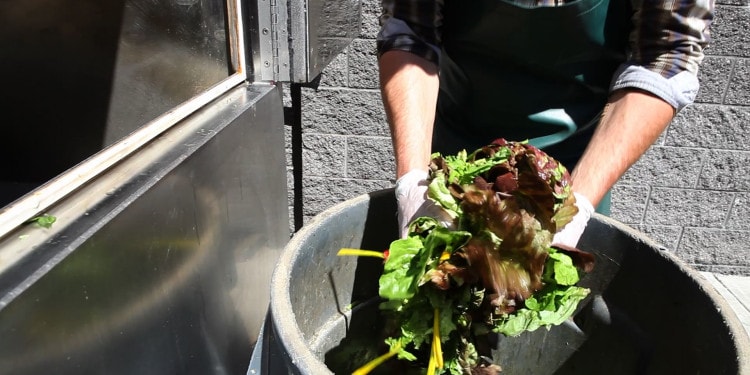 Is the World on Track to Cut Food Loss and Waste in Half by 2030?