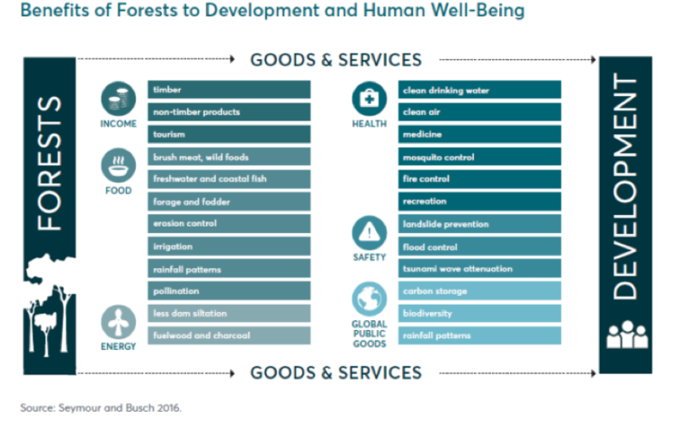 Figure showing benefits of forests to development and human well-being