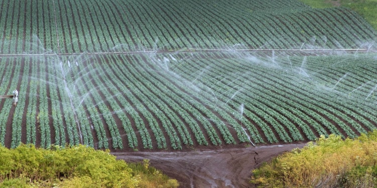 Water Could Limit Our Ability to Feed the World. These 9 Graphics Explain Why