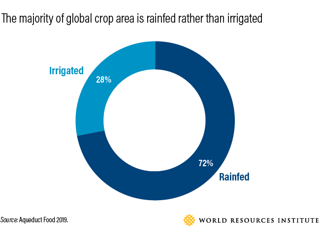The percentage of the global crop area that is rainfed as opposed to irrigated