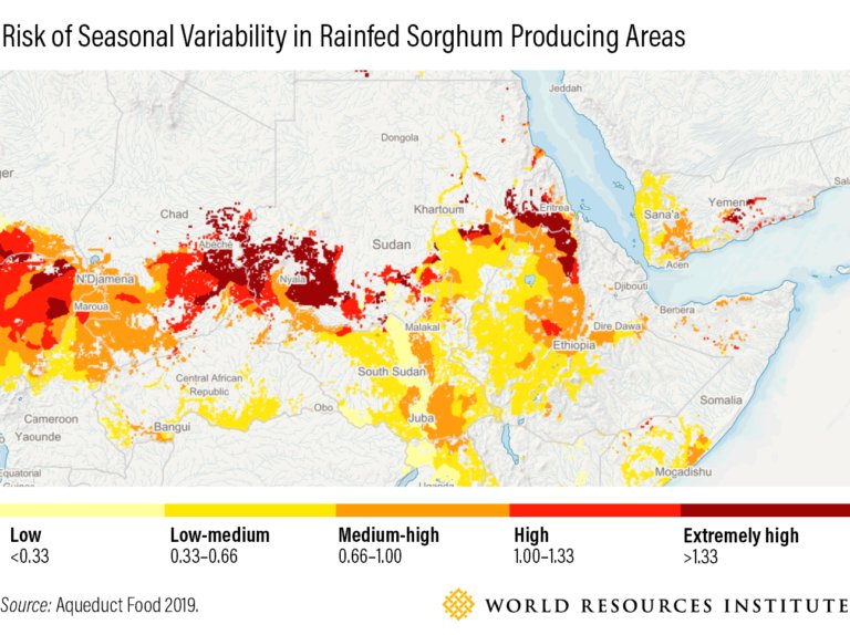 Graphic showing the risk of seasonal variability in rainfed Sorghum producing areas.