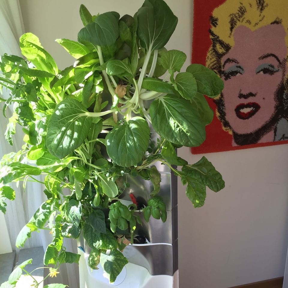 Gaia Grow System, Hydroponic Indoor Farming From Scandinavia