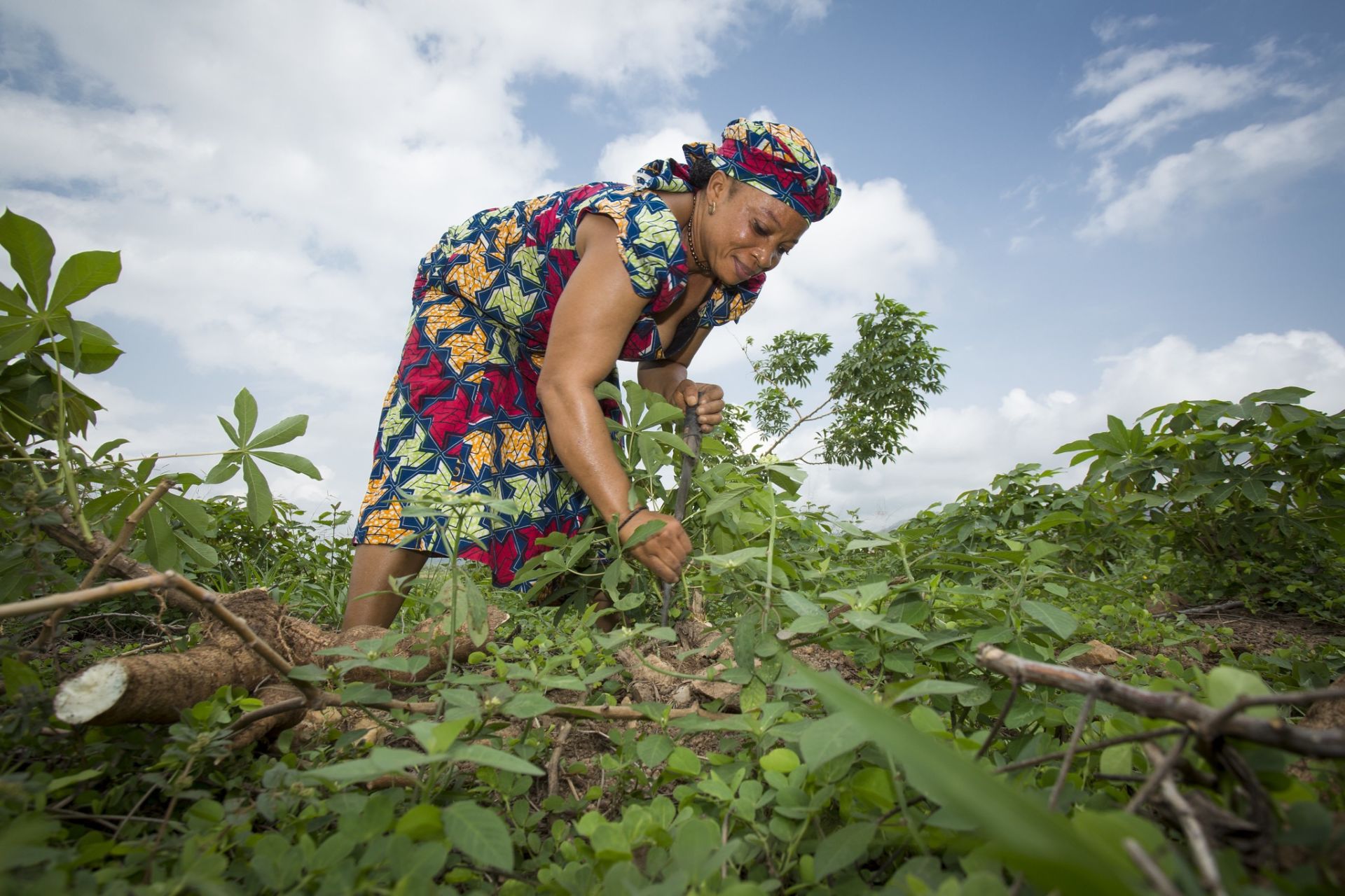 Beyond Title: How to Secure Land Tenure for Women