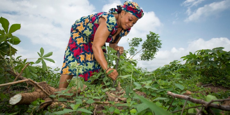 Beyond Title: How to Secure Land Tenure for Women