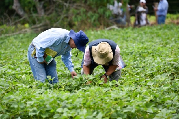 Latin America & Caribbean strengthen their cooperation for climate action