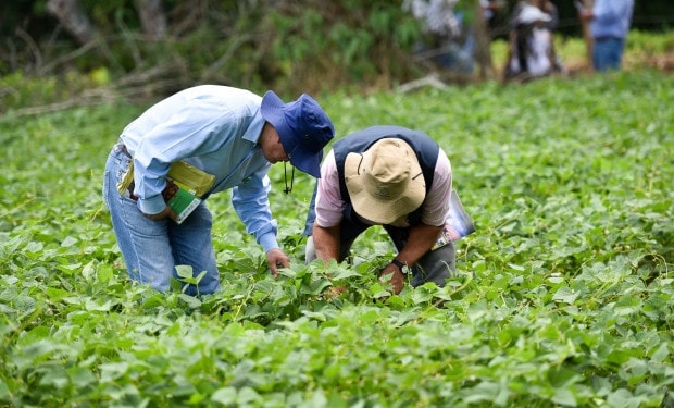 Latin America & Caribbean strengthen their cooperation for climate action