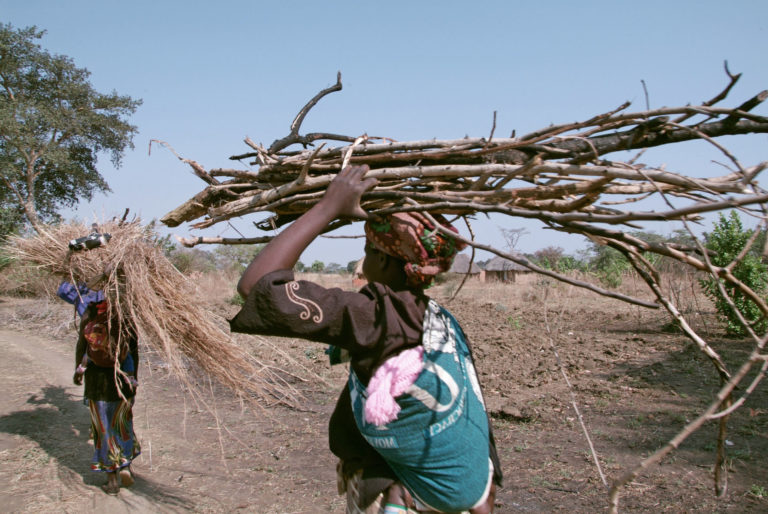 Women gathering firewood in Sudan
