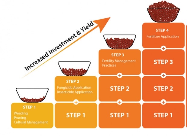 Reviewing the Climate-Smart Cocoa practices to help farmers adapt to climate change