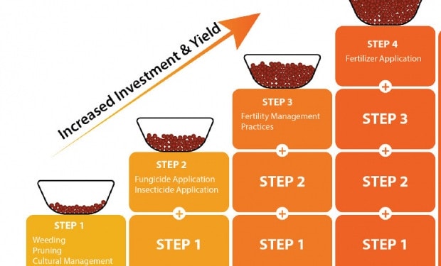 Reviewing the Climate-Smart Cocoa practices to help farmers adapt to climate change