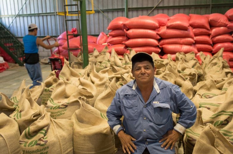 RAOS: Training for a More Resilient Future in Honduras