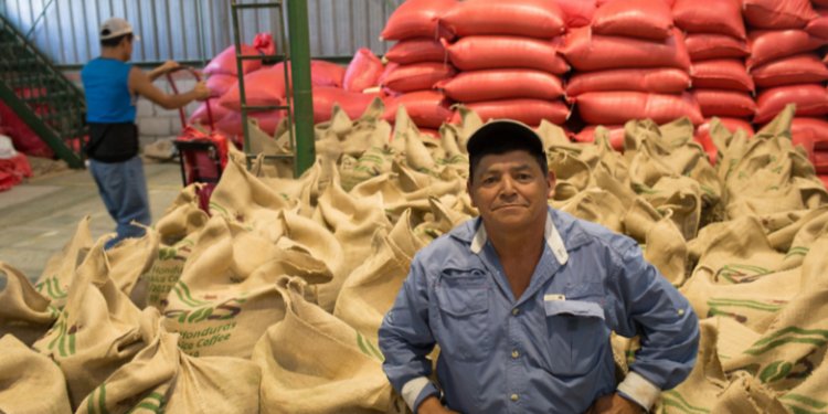 RAOS: Training for a More Resilient Future in Honduras