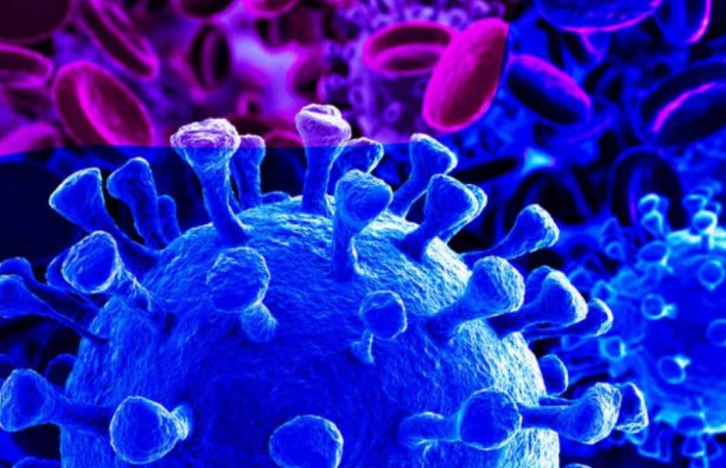 COVID-19: If it Turns into a Global Pandemic