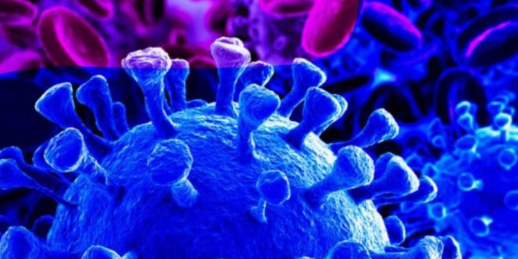 COVID-19: If it Turns into a Global Pandemic