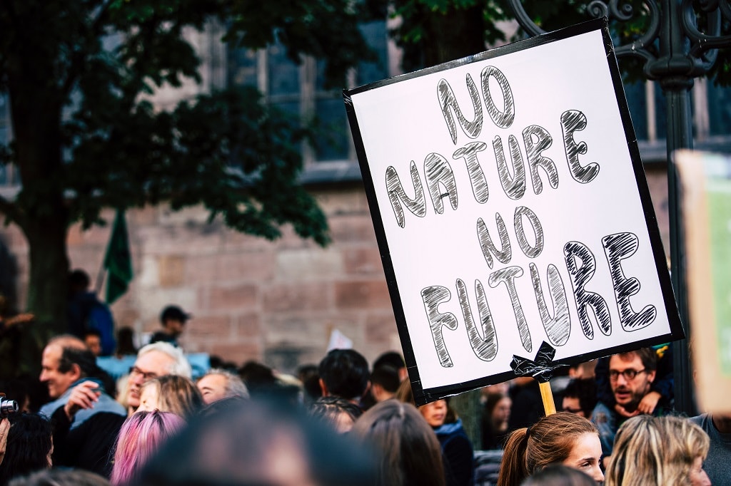 Surviving Climate Change: Can Democracy Save Us?