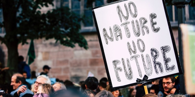 Surviving Climate Change: Can Democracy Save Us?