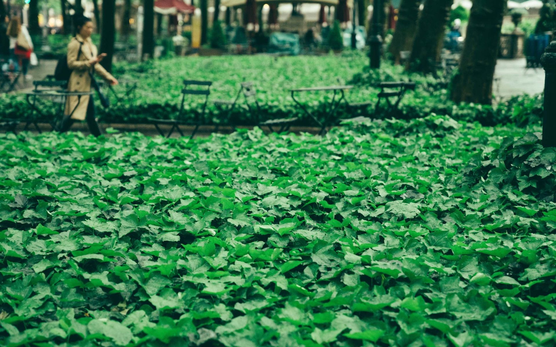 The Importance of Connecting People With Nature in Times of Social Isolation