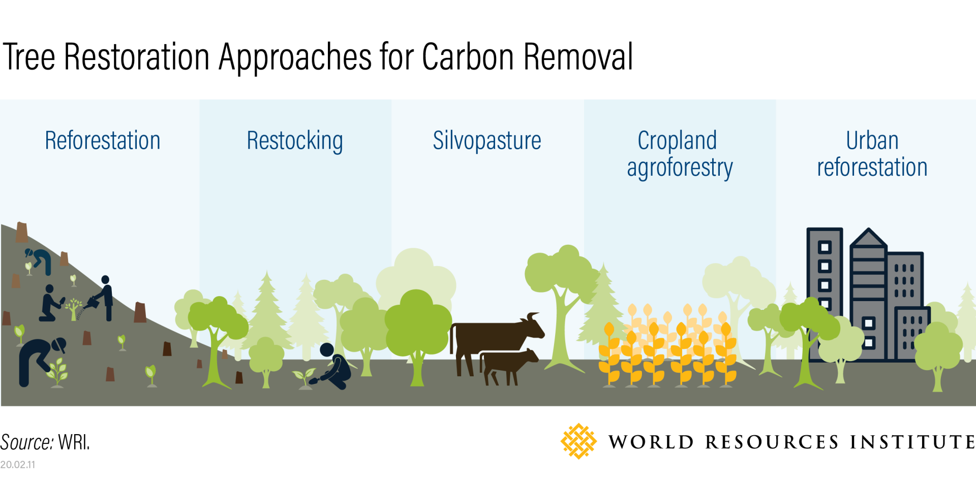 Infographic showing carbon removal approaches