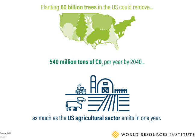 Graph showing effects of planting 60 billion trees in the US