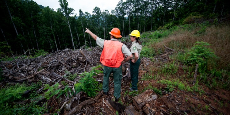 How and Where to Plant 60 Billion Trees in the US