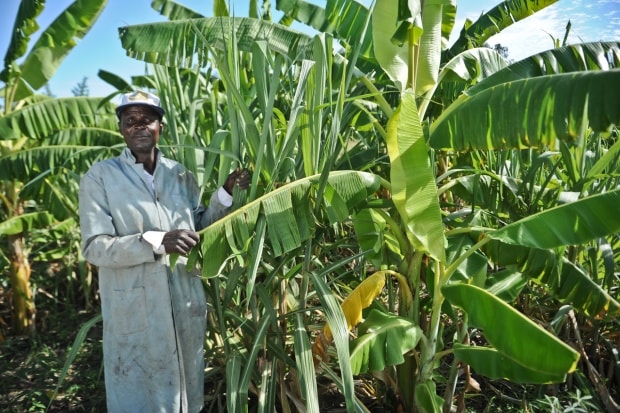 Scaling climate-resilient agribusinesses in East Africa