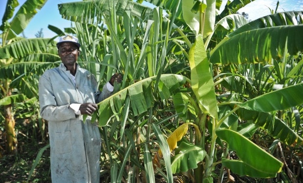 Scaling climate-resilient agribusinesses in East Africa