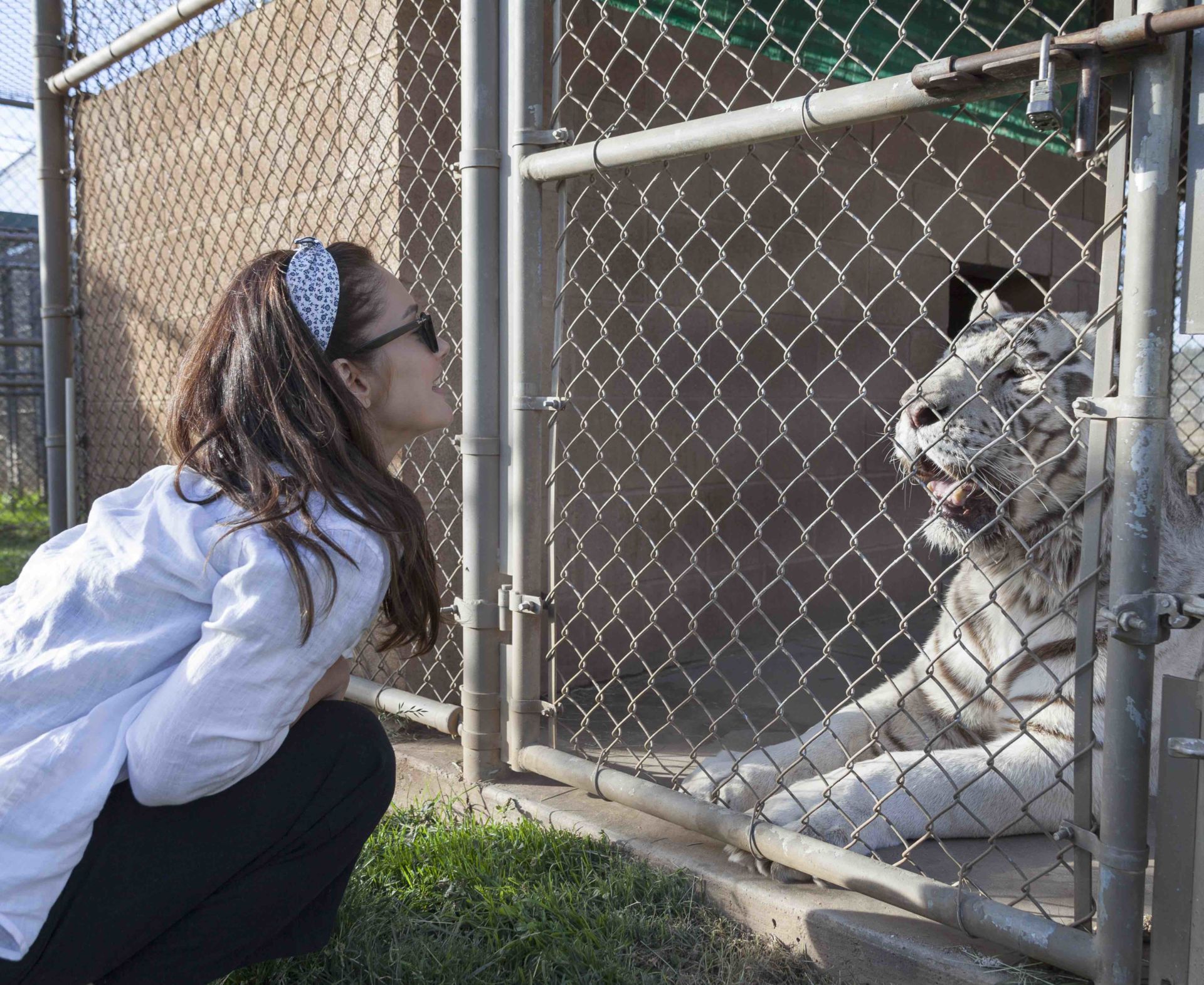 Minka Kelly at a Sanctuary