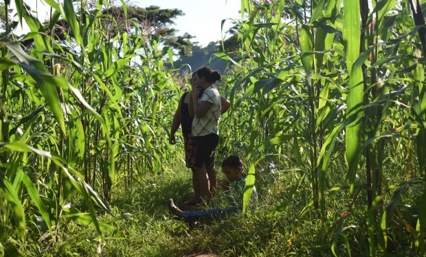 Facing climate change in Honduras: The importance of gender equity