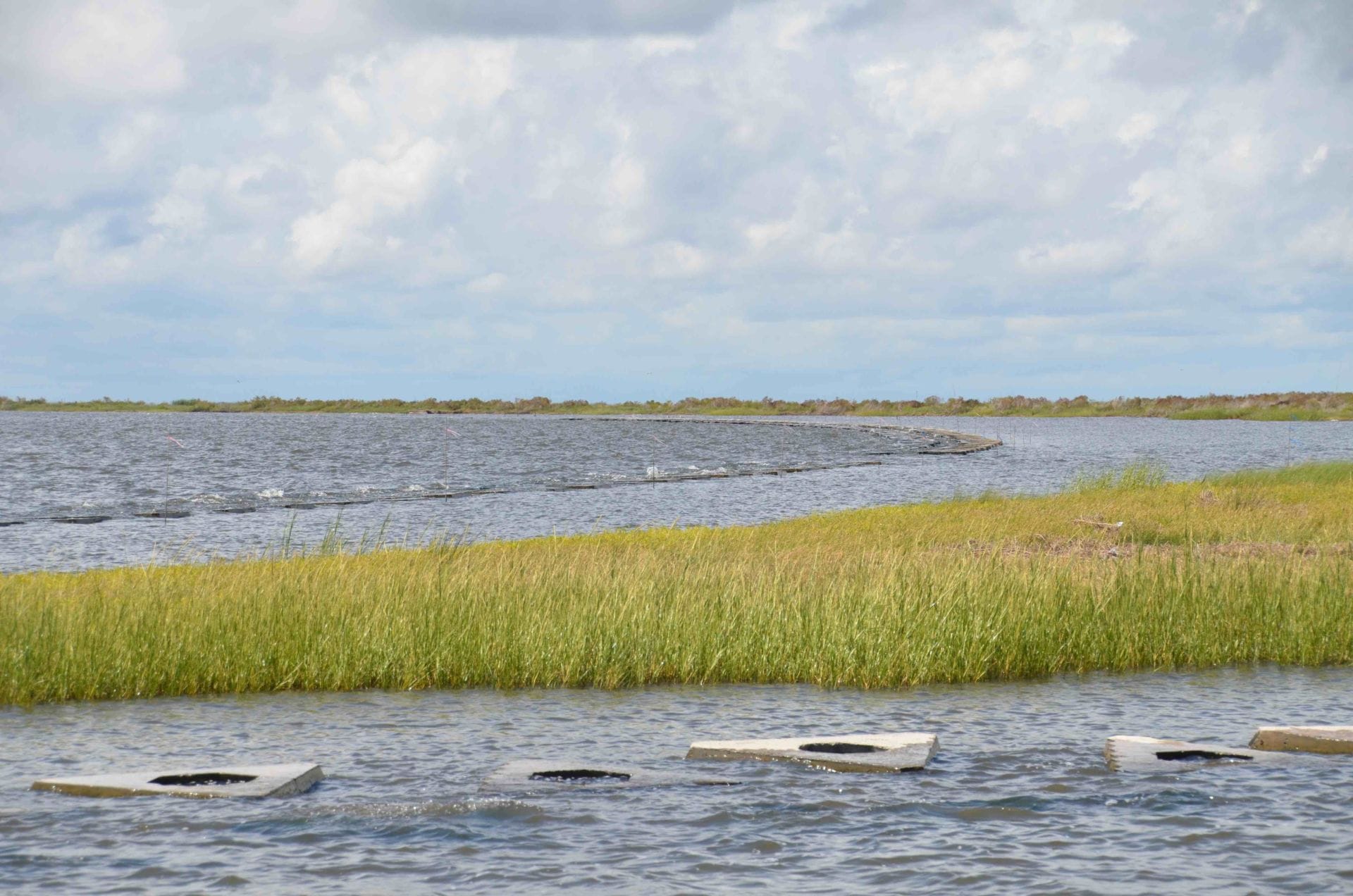 Struggle and Sustainability Along the Louisiana Gulf Coast