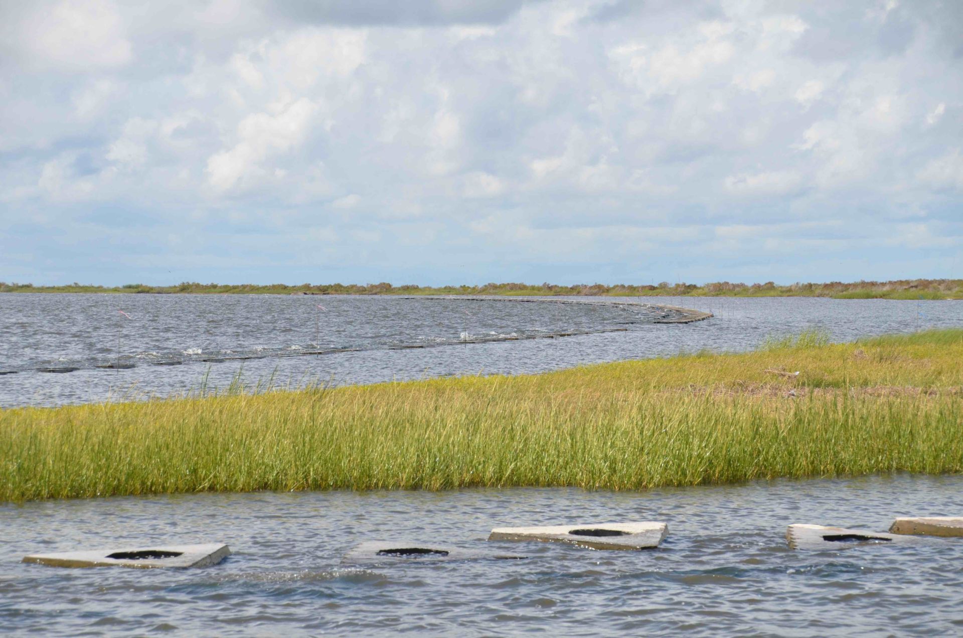 Struggle and Sustainability Along the Louisiana Gulf Coast