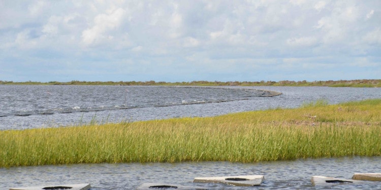 Struggle and Sustainability Along the Louisiana Gulf Coast