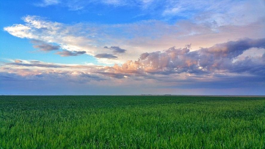 The five most peaceful countries in 2019