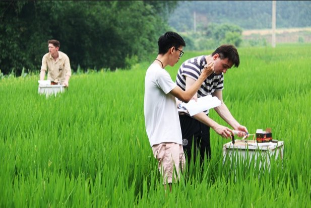 Studying climate-smart agriculture in Vietnam