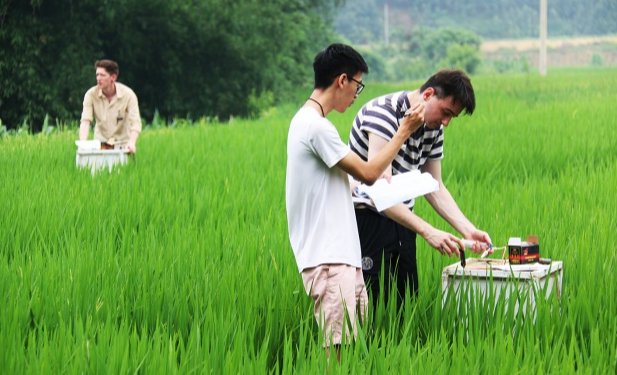 Studying climate-smart agriculture in Vietnam