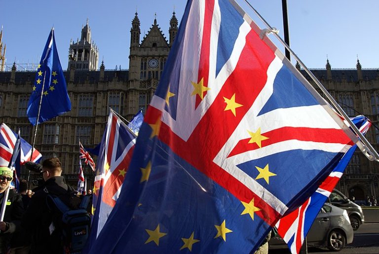 Brexit protestor flags near the Palace of Westminster, London.